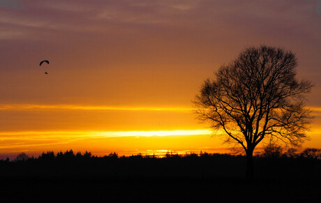 De zon achterna