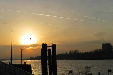 Zondsondergang aan de Schelde in Antwerpen