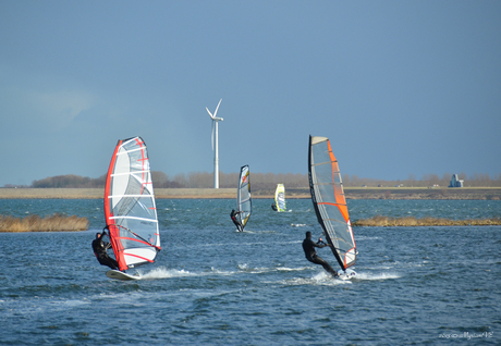 Surfers Grevelingen