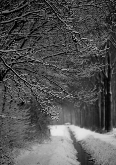 Winter in zwart wit