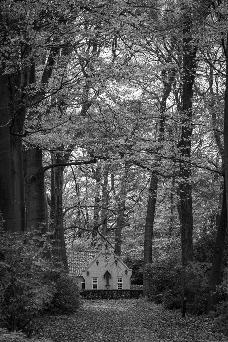 Landgoed van Kasteel Maurick