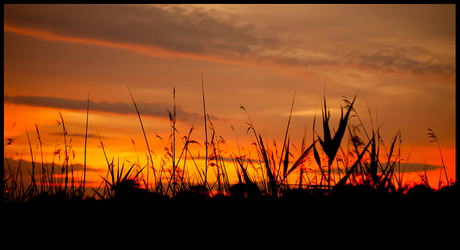 Zonsondergang