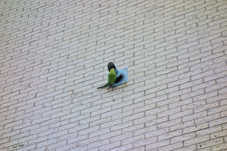 The Wall: Is There Anybody In There?