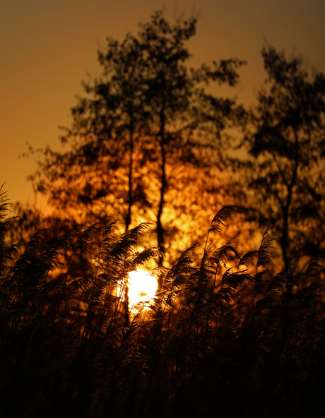De zon neemt afscheid van de dag...