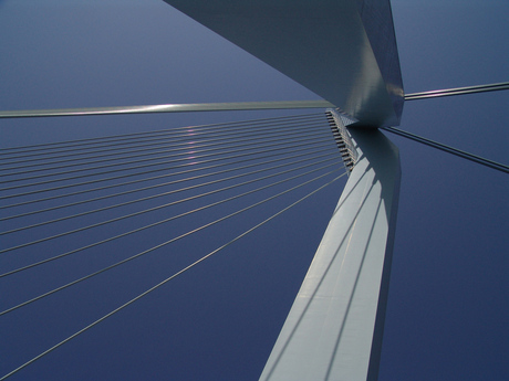 Brug in Rotterdam