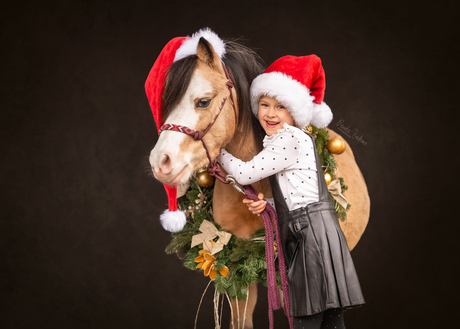 Christmas pony