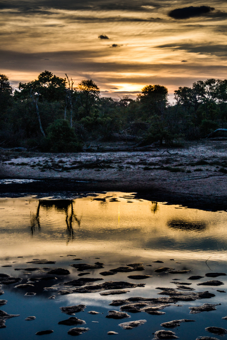 Kruger Park bij zonsondergang