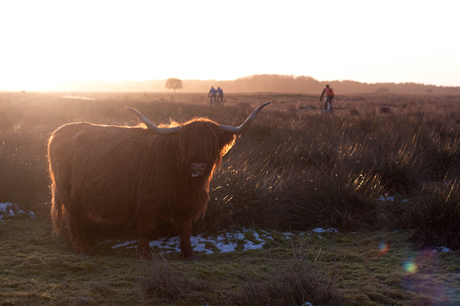 Genieten van de laatste zonnestralen