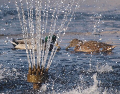 romance achter de fontein