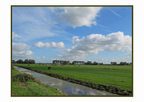 Polder.