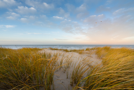 Gevoel van strand