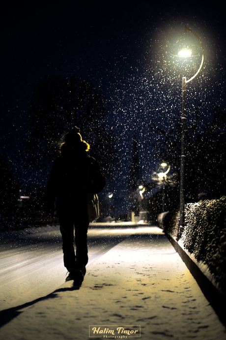 Snowy moody