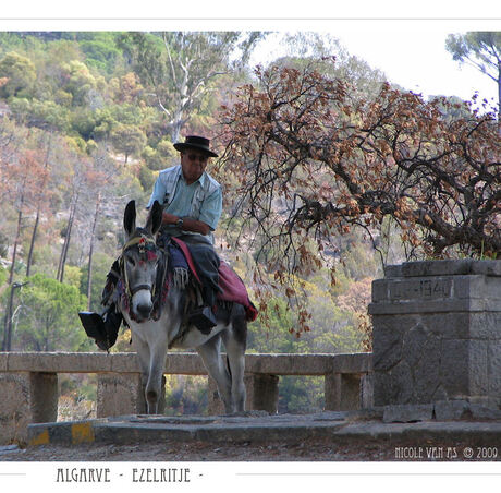Algarve - Ezelritje -