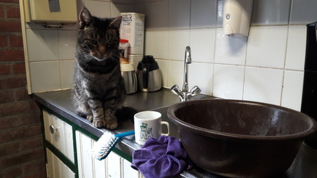 ik help je met de afwas