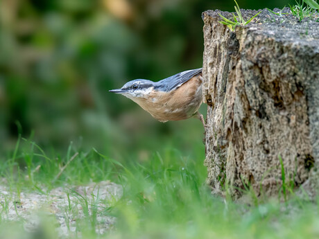 Ons klein acrobaatje