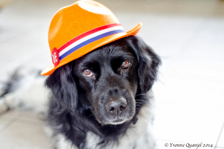 Oranje boven