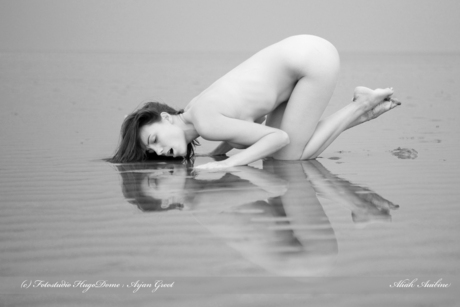 Artnude outdoor op het wad