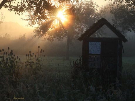 Prachtige zonsopkomst in de Generatietuin in Wierden. 