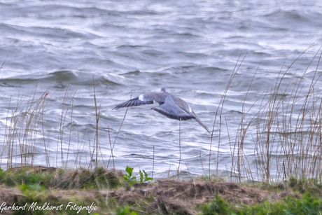 Landing