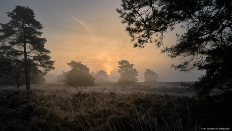 Heerlijk vroeg op de Veluwe