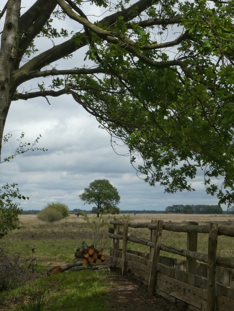 IMG_20190525_landschapje