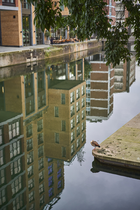 Rotterdam-centrum