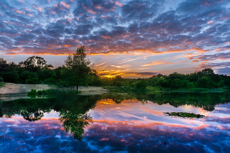 schoonheid Oosterplas