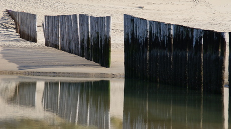 Palen op strand