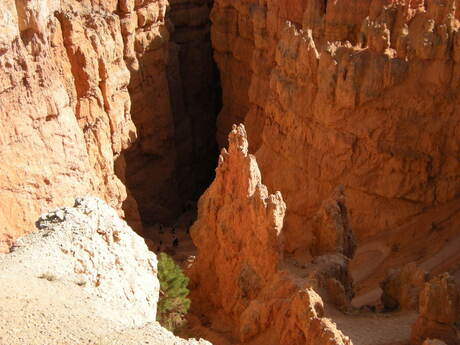 Bryce canyon