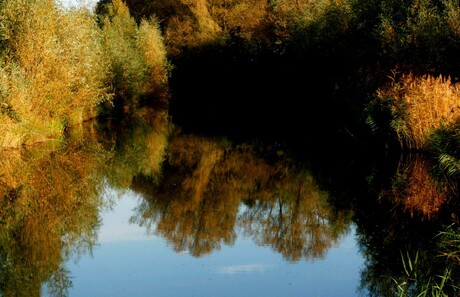 Weerspiegeling Landschap