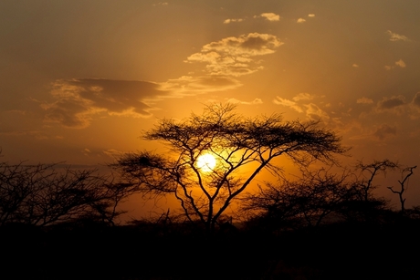 Sunrise Kenya