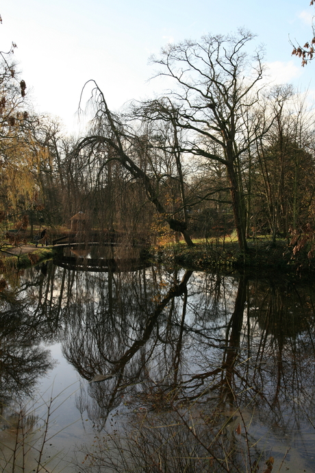 herfst in park