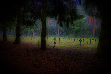 Cementery of the insane 9/9