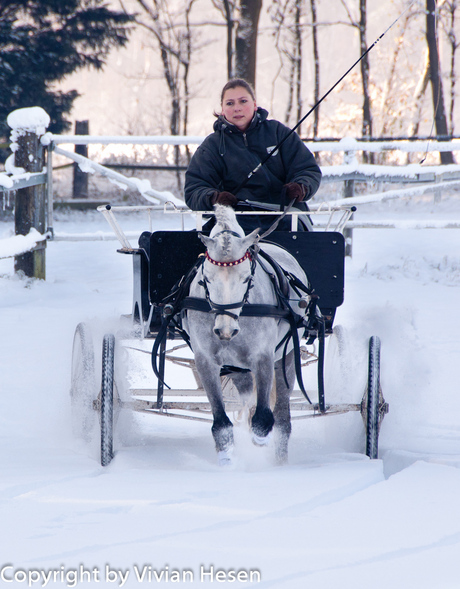 Winterse omstandigheden