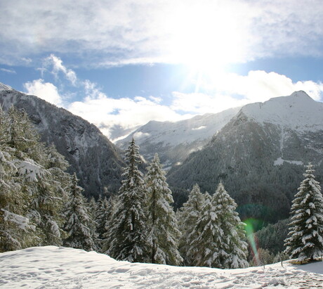 Sneeuwbergen