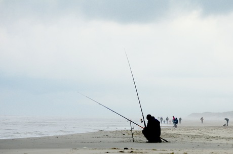 Visser op Ameland