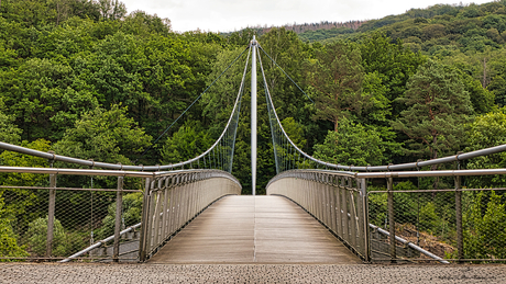 Victor Neels Brücke