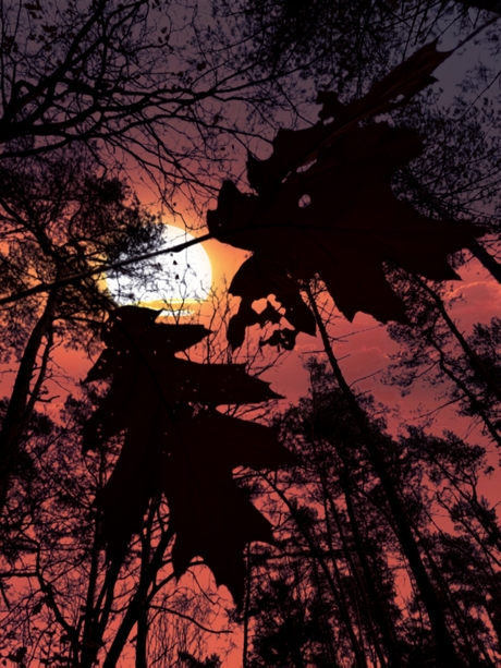 Het gouden uur voorbij....