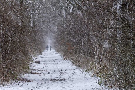 Winterse wandeling