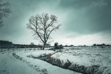 " Stille koude winter "