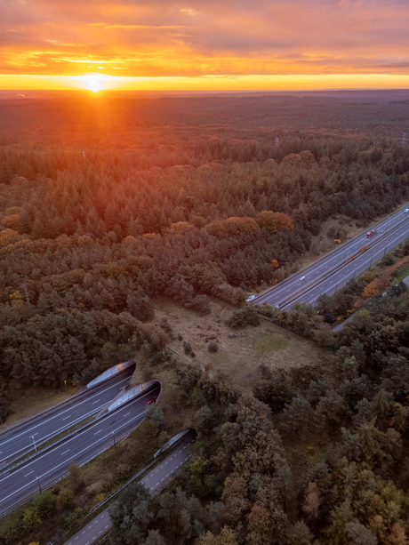 Zonsopkomst boven het ecoduct