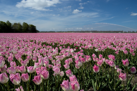 Genieten....