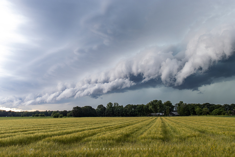 Shelfcloud