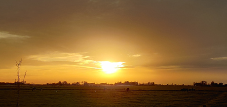 Zonsondergang (met zicht op Mastenbroek)