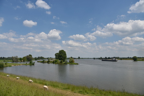 Uitzicht over de Lek