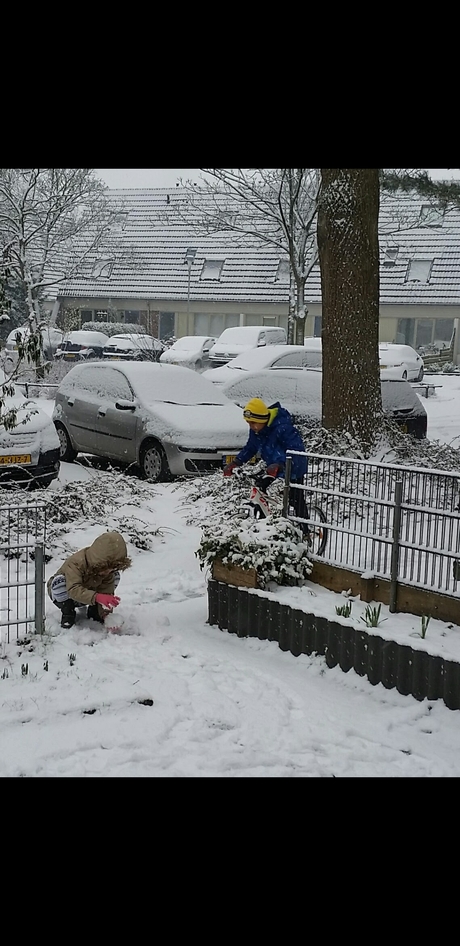 Het sneeuwvolkje