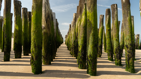 Strandpalen