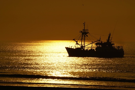 Sunset Hoek van Holland