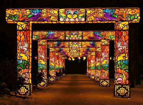 China Light Rotterdam