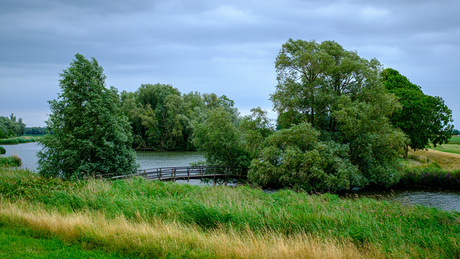 Bruggetje in de polder